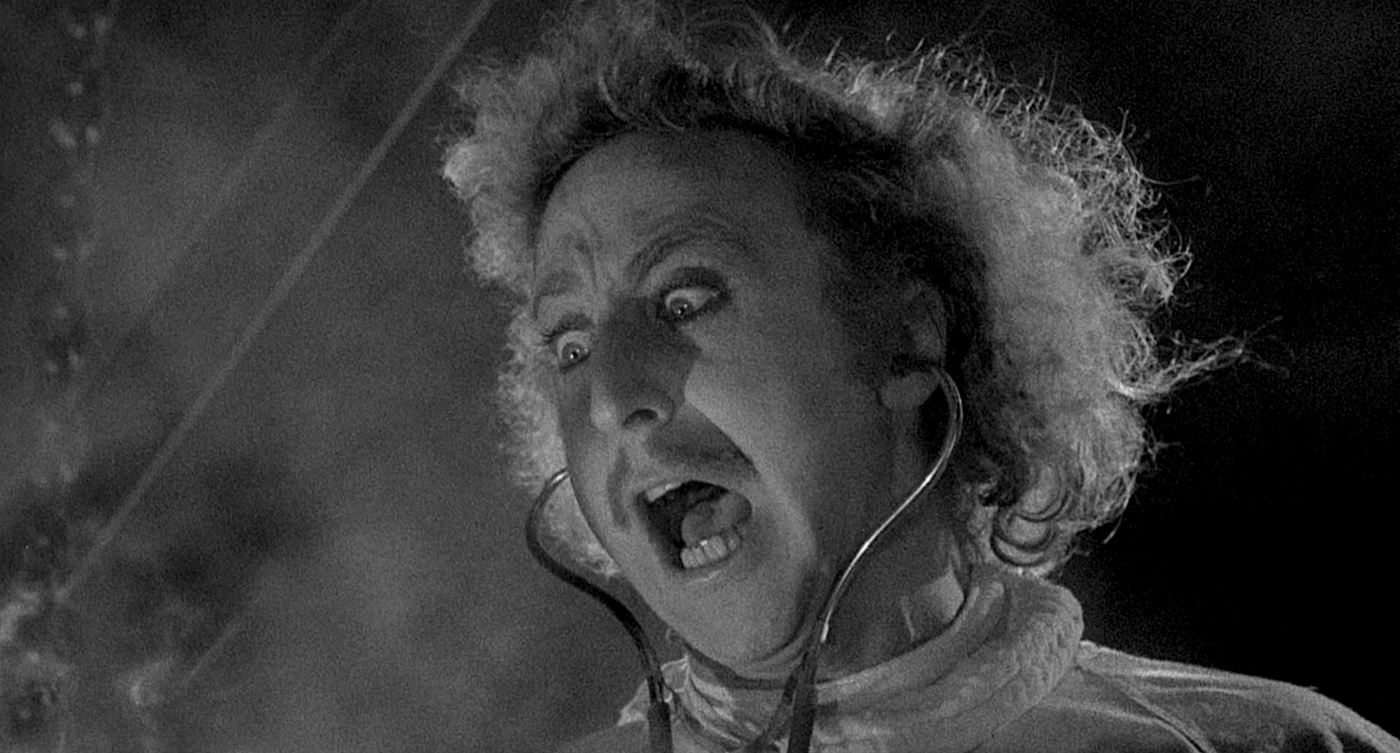 Read more about the article Young Frankenstein (1974)