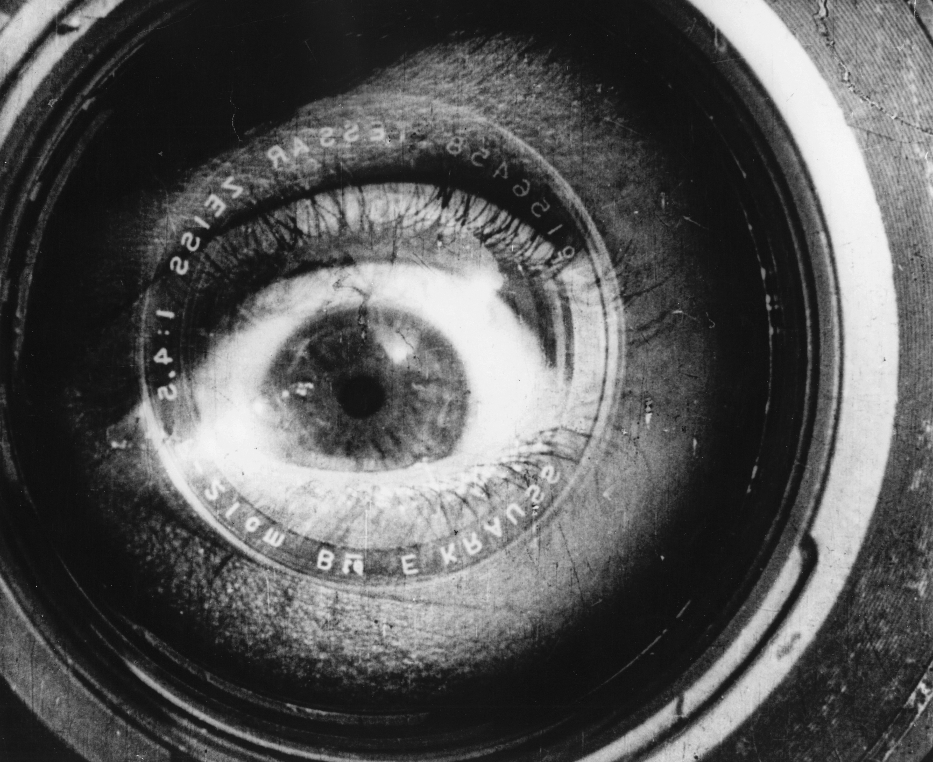 Read more about the article Man with a Movie Camera (1929)