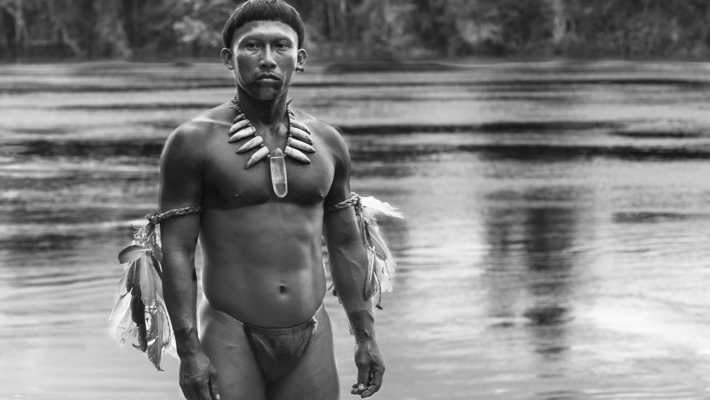 Read more about the article Embrace of the Serpent (2016)
